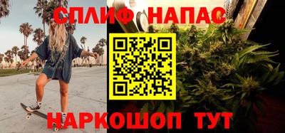 ALPHA PVP Гай