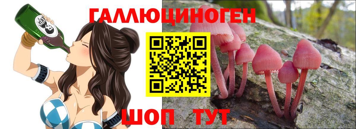 Галлюциногенные грибы ЛСД  Галлюциногенные грибы GOLDEN TEACHER  Нефтекумск  Вход с VPN 